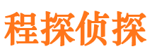 城西市私家侦探